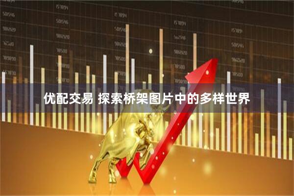 优配交易 探索桥架图片中的多样世界