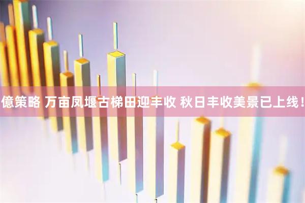 億策略 万亩凤堰古梯田迎丰收&#32;秋日丰收美景已上线！