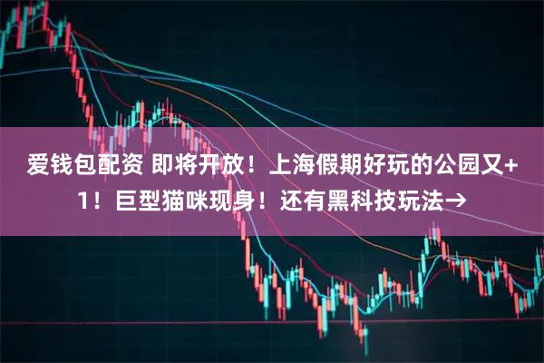 爱钱包配资 即将开放！上海假期好玩的公园又+1！巨型猫咪现身！还有黑科技玩法→
